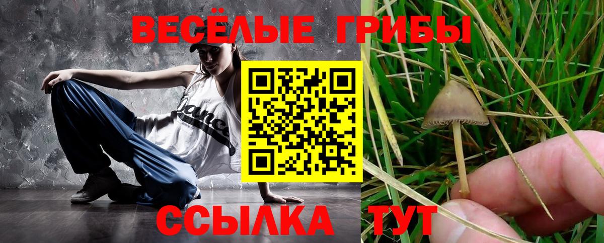 Алапаевск  Галлюциногенные грибы ЛСД  Галлюциногенные грибы Cubensis  Вход с VPN 
